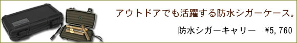 �ɿ奷��������꡼