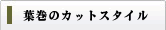 葉巻のカットスタイル